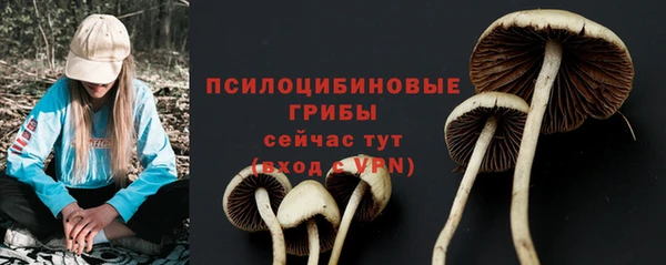 ешки Сафоново